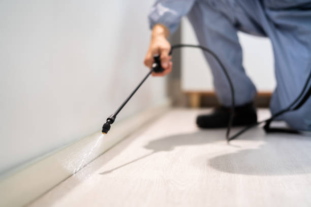 Licensed Termite Control service in Edgewood, MD - Nex Pest Control