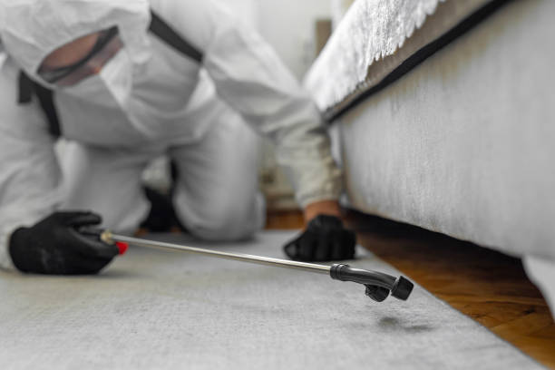 Professional Termite Control technician working in Edgewood, MD