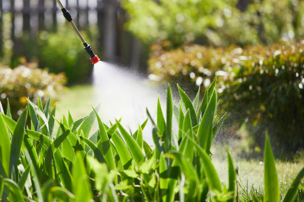 24/7 Emergency Termite Control experts in Edgewood, MD