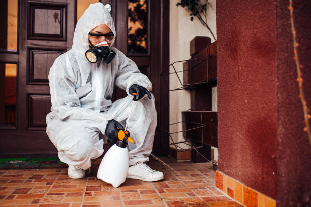 Reliable Termite Control contractor in Edgewood, MD by Nex Pest Control